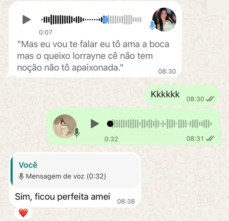 Conversa de WhatsApp em que uma cliente comenta o atendimento com áudios e mensagens